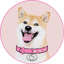 Image of DOGEGF