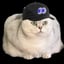 Obrázek FOMOCAT