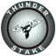 ThunderStake