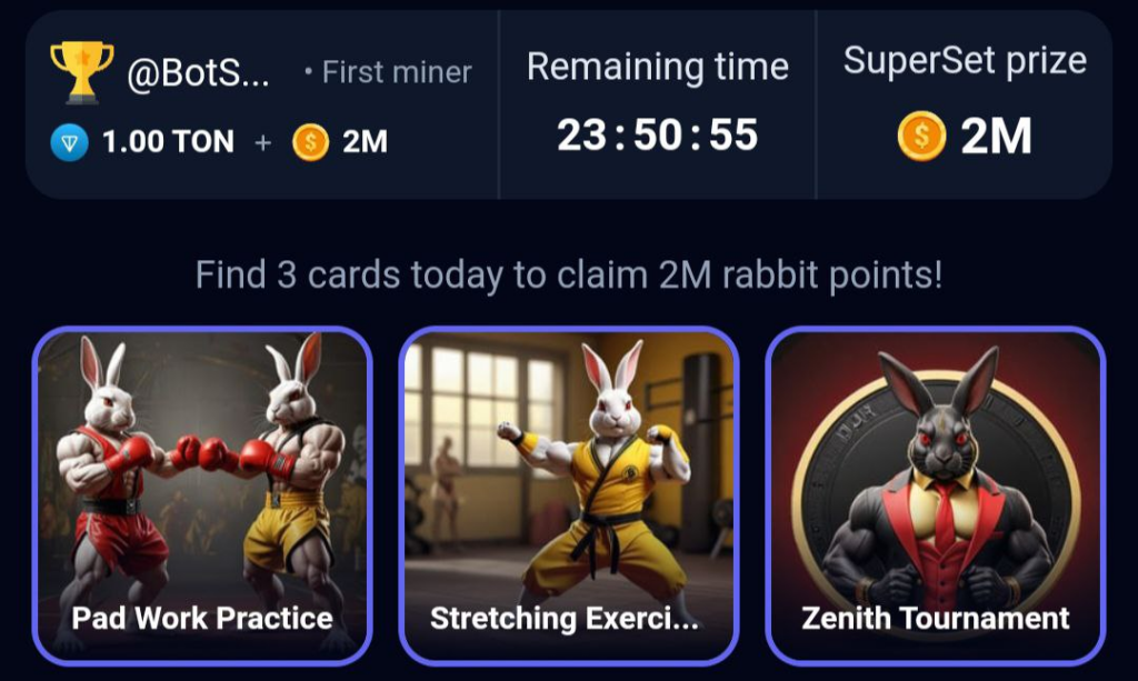 rocky rabbit superset