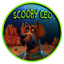 Image de SCEO