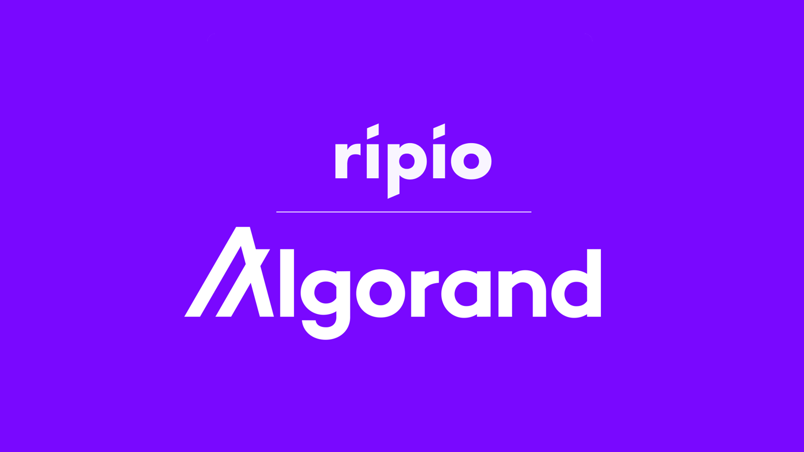 Algorand Unveils Ripio Partnership to Boost Presence in Latin America, Can  ALGO Price Recover? | CoinCodex