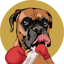 Görsel: SBOX