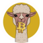 Image of ALPACA