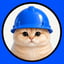 Image of BASECAT1