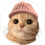 Bild von MEOWIF