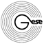 Bild von GSE