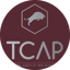 TCAP/USDT