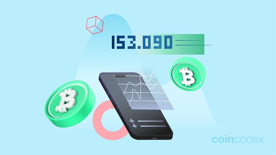 6 Best Bitcoin Cash Wallets in 2024