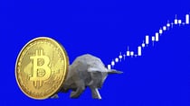 Bitcoin (BTC) Price to Hit the $70k Level in The Next 6-Months? Analyst Explains Why