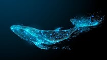 As Crypto Market Experiences Losses, Whale Activity Surges in Altcoins
