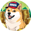 Image of DOGE17