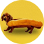Image of HOTDOGE