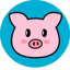 Image of PIGGYC
