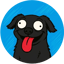 Image of DOG8004