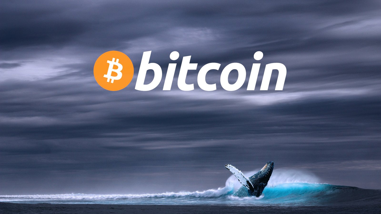 Bitcoin Whales Step In During the Market Drop to Buy at Discount Prices  from 
