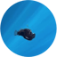 Bild von ANGLERFISH