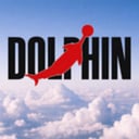 Dolphin Air Jordan