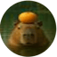 Gambar dari CAPYBARA