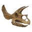 Image of RAWR