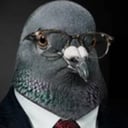 PIGEON