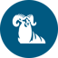 T Rowe Price Group Inc Tokenized Stock