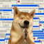 Image de HTML