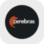 Cerebras Systems Tokenized Stock - Reality
