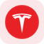 Tesla Tokenized Stock - Reality