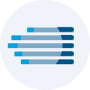 IQVIA Holdings Inc Tokenized Stock