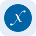 Direxion Daily Semi Bull 3X Tokenized ETF - Reality