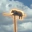Imagem de BOP
