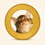 Imagen de CATE/SOL