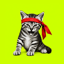 Imagen de DFV