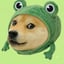 Изображение FROGE
