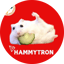 Изображение на HAMMY