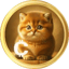 Bild von BABYCAT