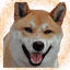 Image of FSHIBA