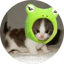 รูปภาพของ PEPECAT
