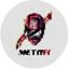Image of F1T