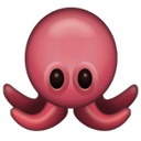 OctoFi