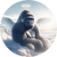 Image of HARAMBE