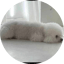 Изображение на LOAF