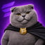 Bild av FATCAT