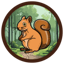 Obrázek SQUIRRY