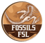 Image of FSL