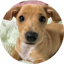 Bild von CHILLY