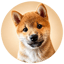Imagem de MEEKO