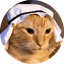 Image of CRUDECAT