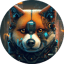 Imagen de SHIBOT